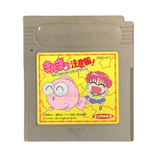 gameboy roms きんぎょ注意報! わぴこのわくわくスタンプラリー